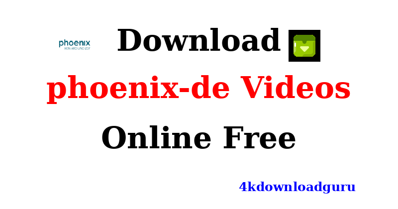 auto-phoenix-de-video-downloader.png